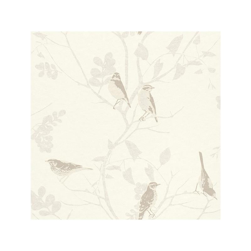 Sample 268569 Cosy White by Washington Wallcovering