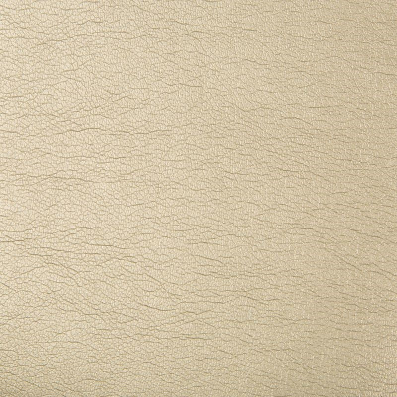 Purchase MAXIMO.16.0 Maximo Pewter Metallic Beige by Kravet Contract Fabric