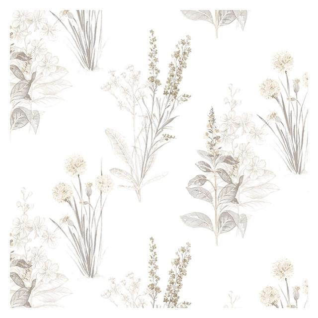 Find AB42446 Flourish (Abby Rose 4) Beige Flora Wallpaper in Grey Sepia & Beige  by Norwall Wallpaper