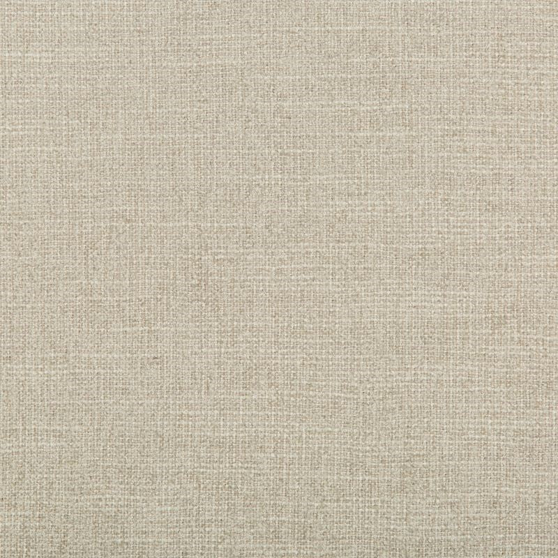 View 35397.11.0 Adaptable Quartz Solids/Plain Cloth Light Grey by Kravet Design Fabric