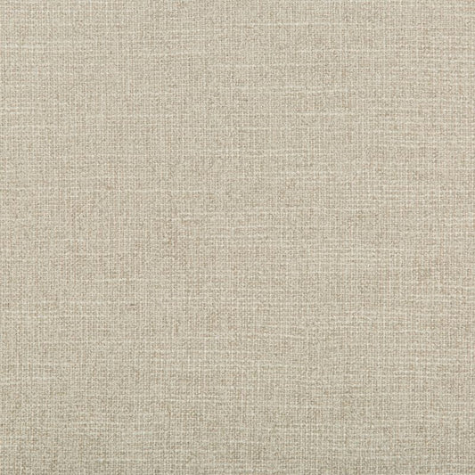 View 35397.11.0 Adaptable Quartz Solids/Plain Cloth Light Grey by Kravet Design Fabric