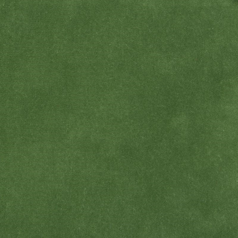 View 35366.13.0  Solids/Plain Cloth Green by Kravet Design Fabric