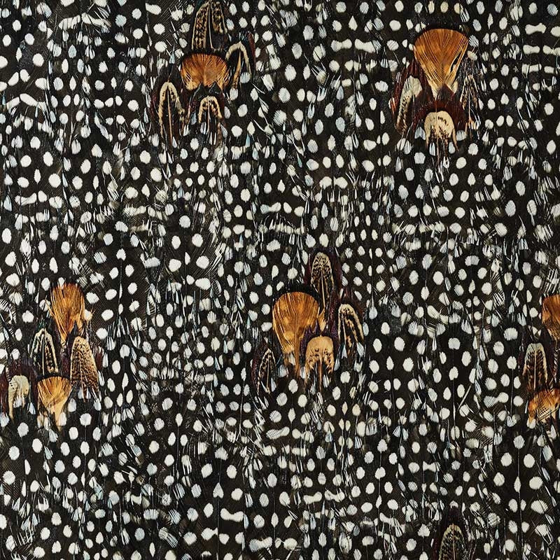 Order 5008394 Argentite Coral Schumacher Wallpaper