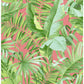 View 2969-26055 Pacifica Alfresco Coral Tropical Palm Coral A-Street Prints Wallpaper