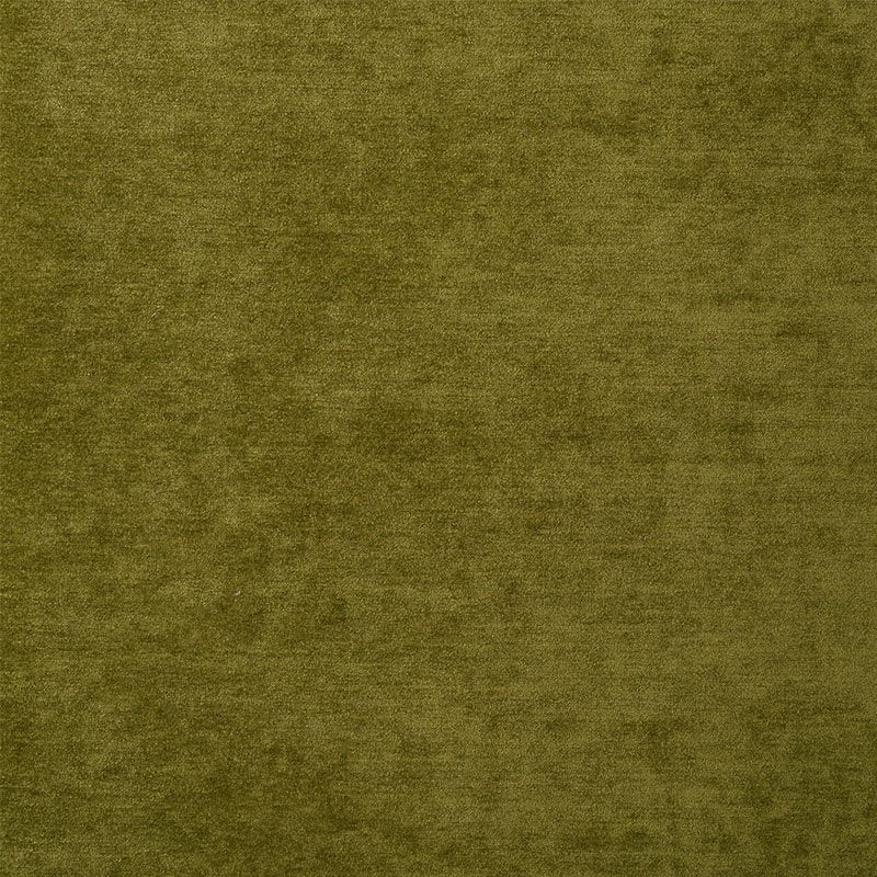 Purchase sample of 77165 Ryder Performance Chenille, Moss by Schumacher Fabric