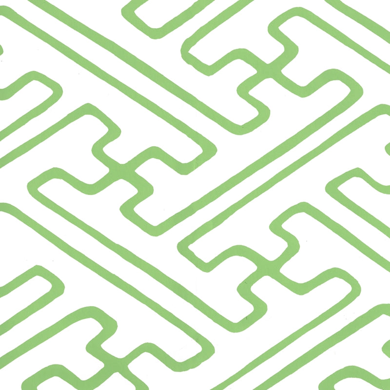 Buy AP207-41 Saya Gata Kelly Green on White by Quadrille Wallpaper