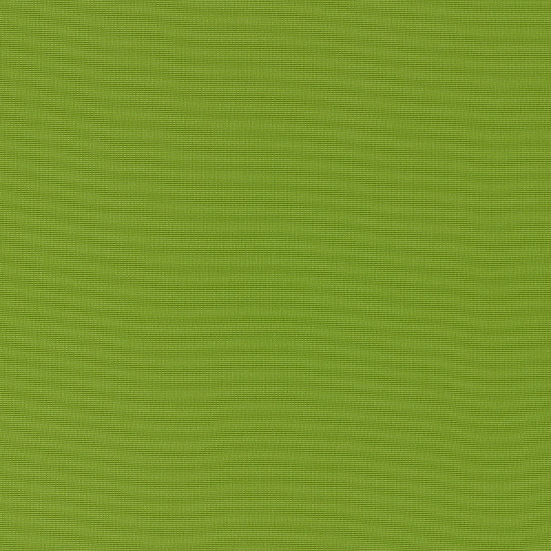 Purchase sample of 70992 Alassio, Lime by Schumacher Fabric