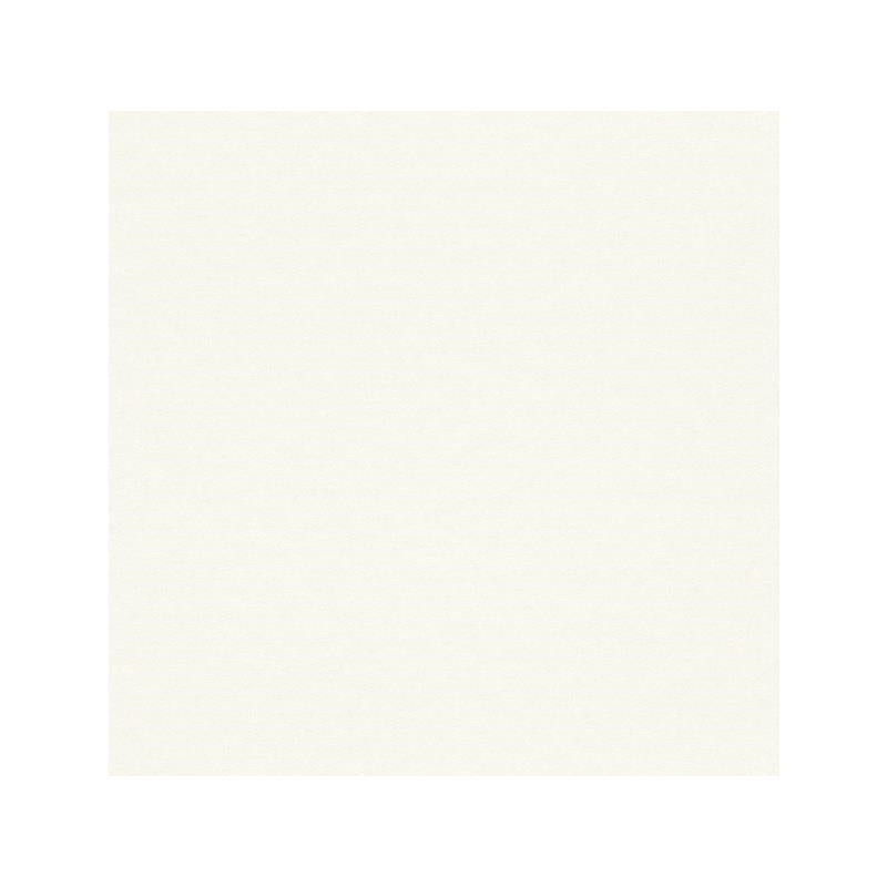 Sample 269245 Cosy White by Washington Wallcovering