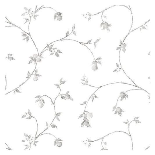 Shop CK36608 Creative Kitchens Fruit Trail  by Norwall Wallpaper
