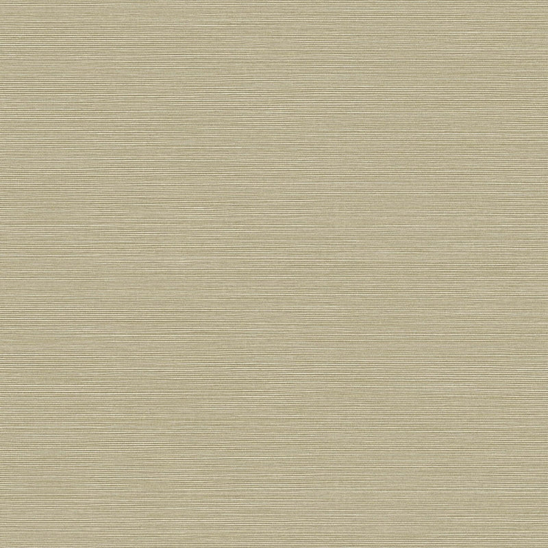 Sample BV30425 Texture Gallery, Coastal Hemp Sandstone  Seabrook Wallpaper