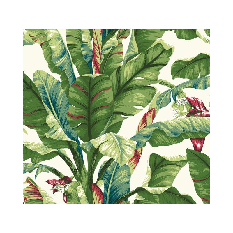 Sample AT7068 Tropics Resource Library, Banana Leaf White/Green York Wallpaper