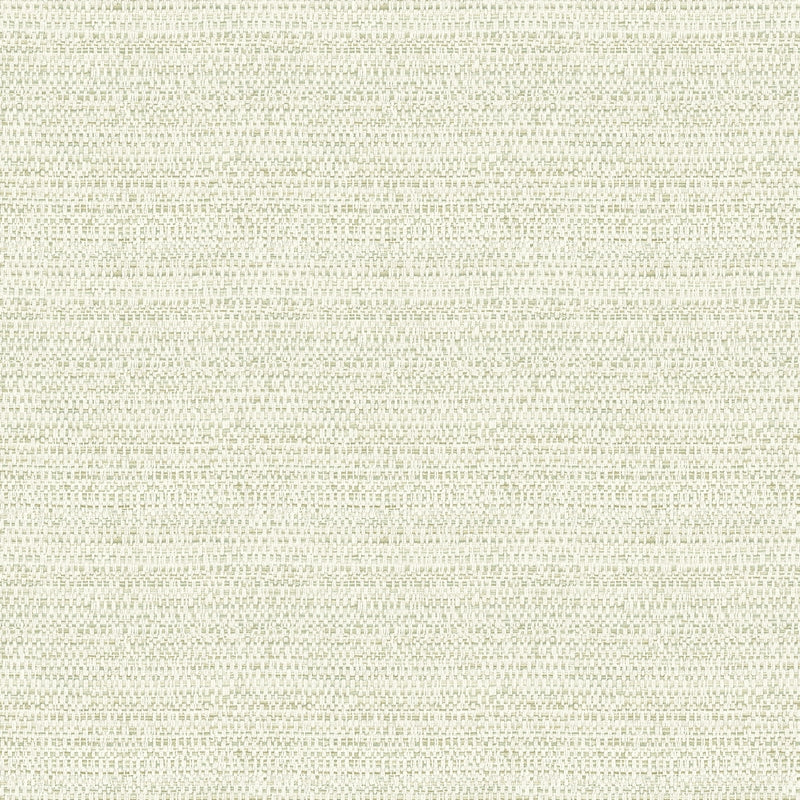Sample 4072-70057 Delphine, Balantine Sage Weave Wallpaper by Chesapeake