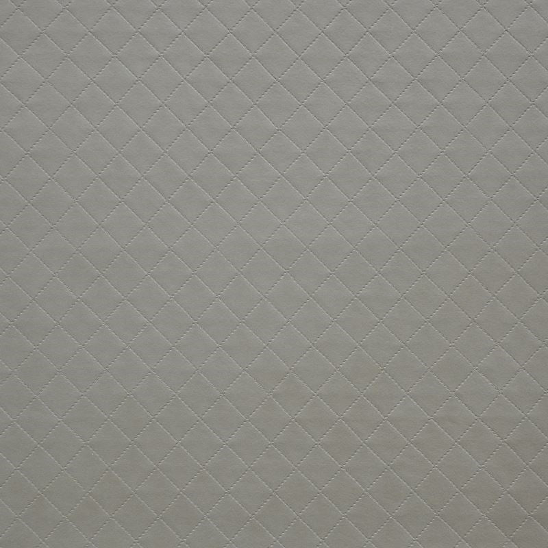 V08248 | Voila Mica by Maxwell Fabric