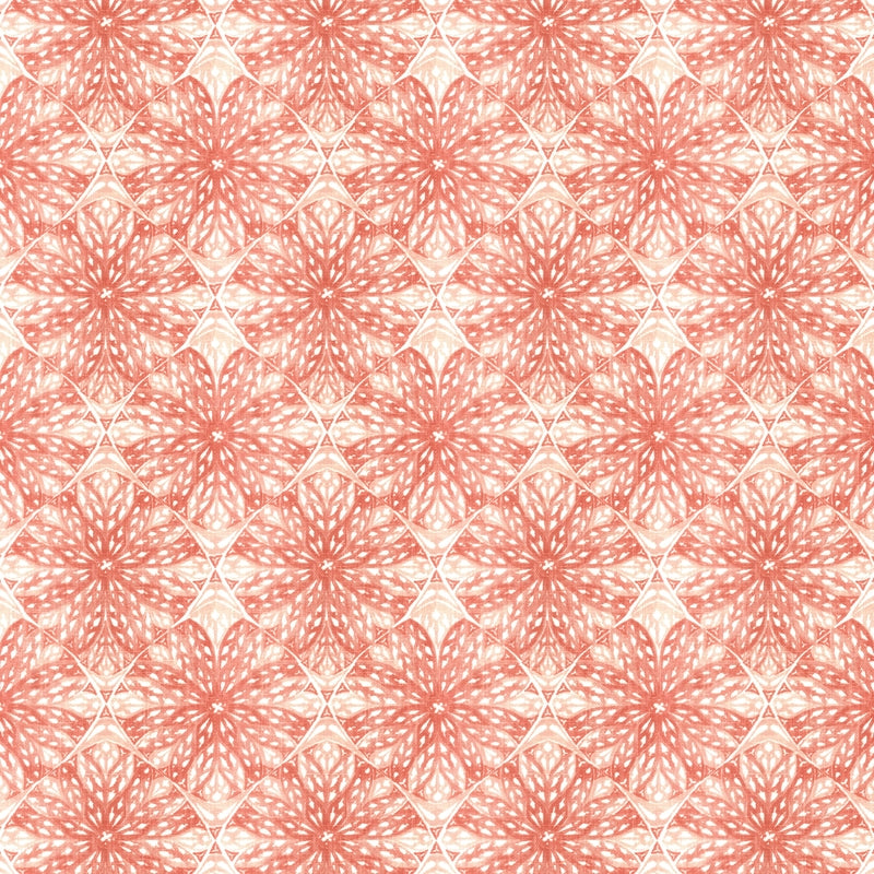Sample EDEL-1 Edelweiss 1 Salmon by Stout Fabric