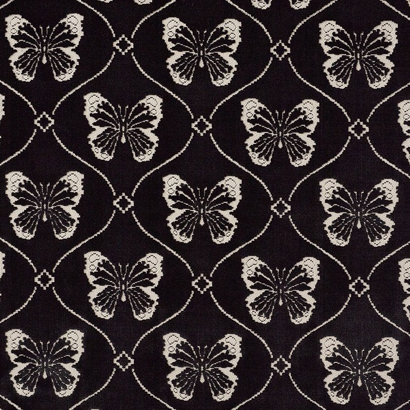Purchase sample of 72960 Papillon Velvet, Onyx by Schumacher Fabric