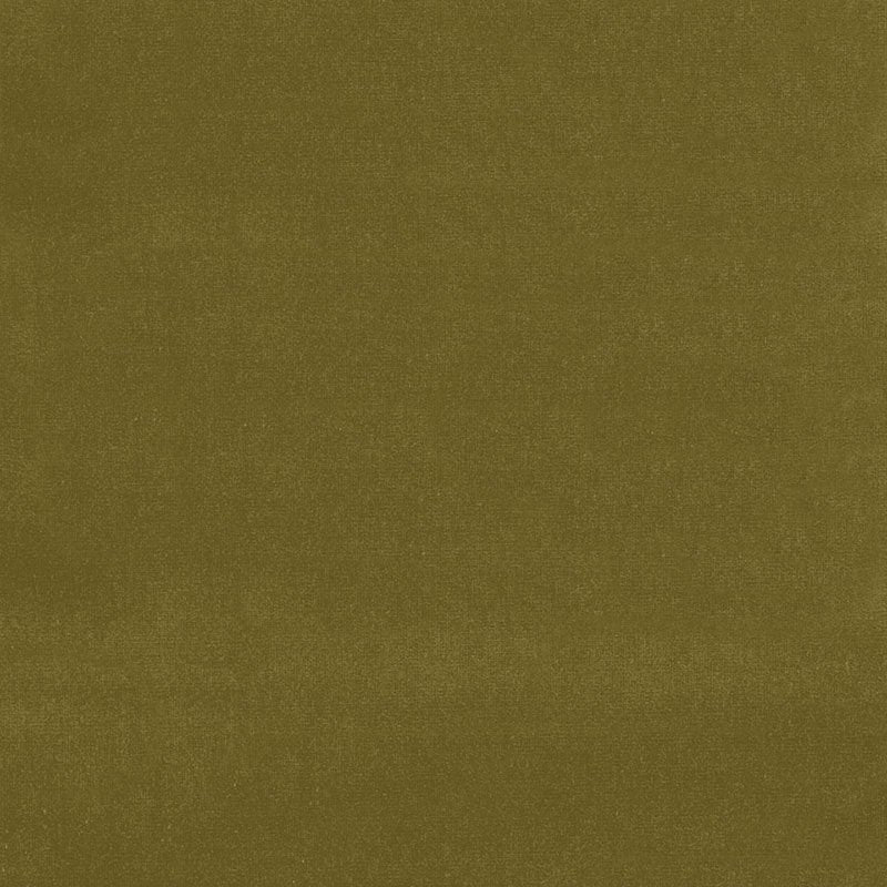 Purchase sample of 42863 Gainsborough Velvet, Moss by Schumacher Fabric