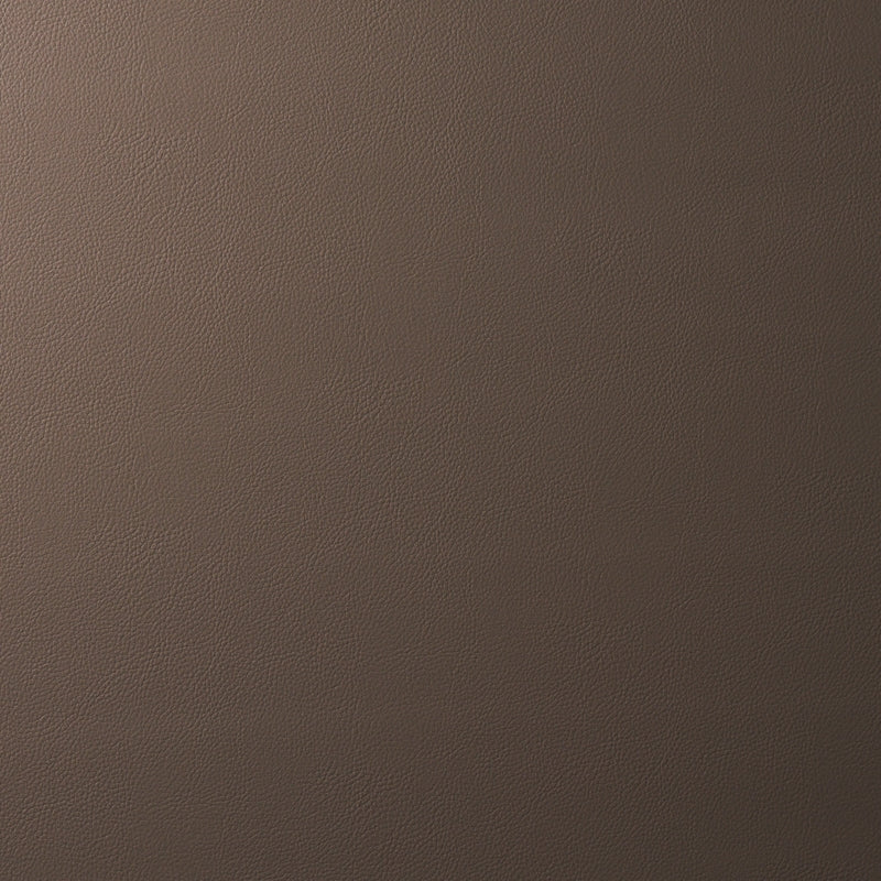 Purchase sample of 80901 Indoor/Outdoor Vegan Leather, Java by Schumacher Fabric
