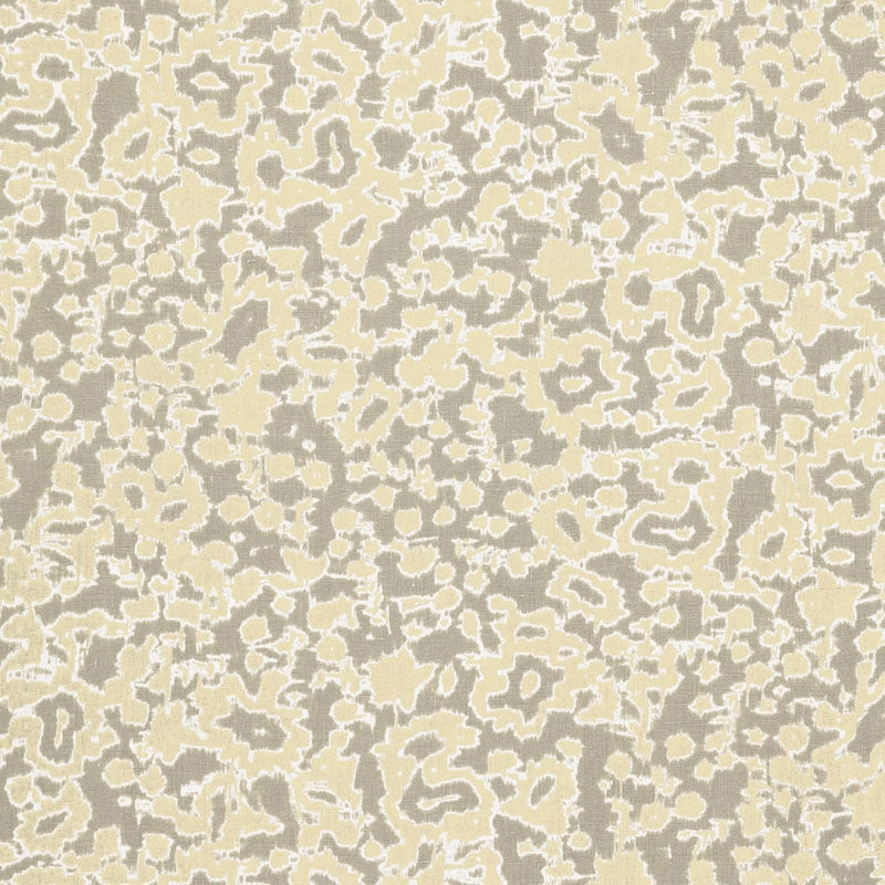 Purchase sample of 175391 Rain Dance, Stone by Schumacher Fabric