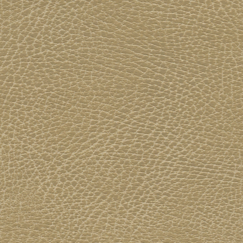 Purchase sample of 396-3134 Brisa Soleil Distressed, Bucks by Schumacher Fabric