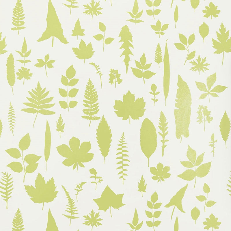 Select 5005021 Leaves Chartreuse Schumacher Wallpaper