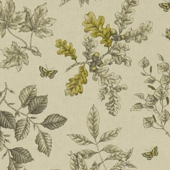 Find F1329/04 Hortus Botanical by Clarke And Clarke Fabric