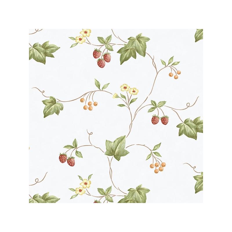 Sample KK26752 Creative Kitchens Trellis Trail  Norwall Wallpaper