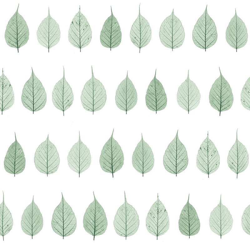 Acquire DD128847 Design Department Greenhouse Green Leaves Wallpaper Green Brewster