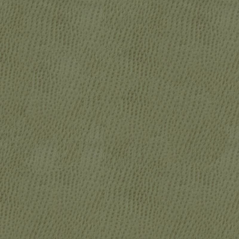 Order BELUS.11.0  Skins Grey by Kravet Contract Fabric