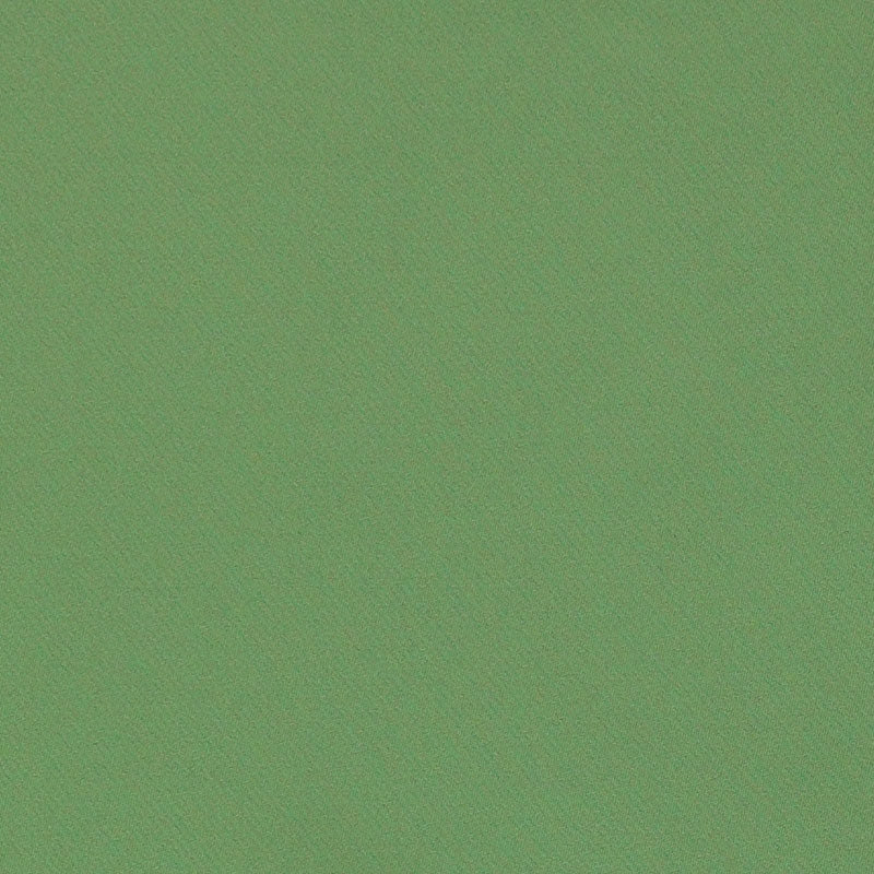 Purchase sample of 69592 Blake, Oregano by Schumacher Fabric