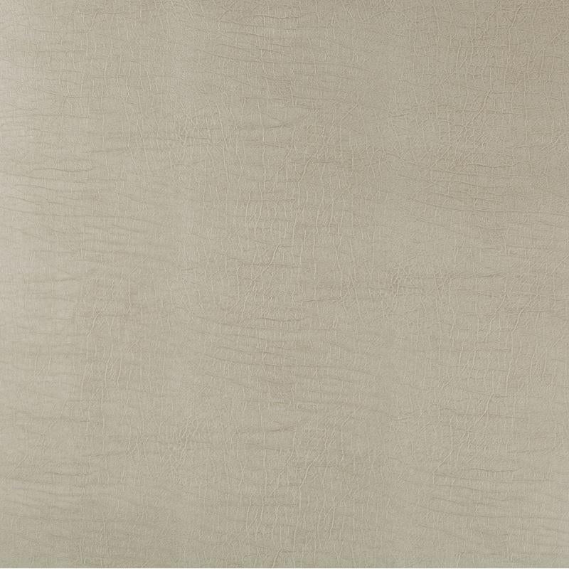 Buy ALADAR.11.0  Light Grey by Kravet Design Fabric
