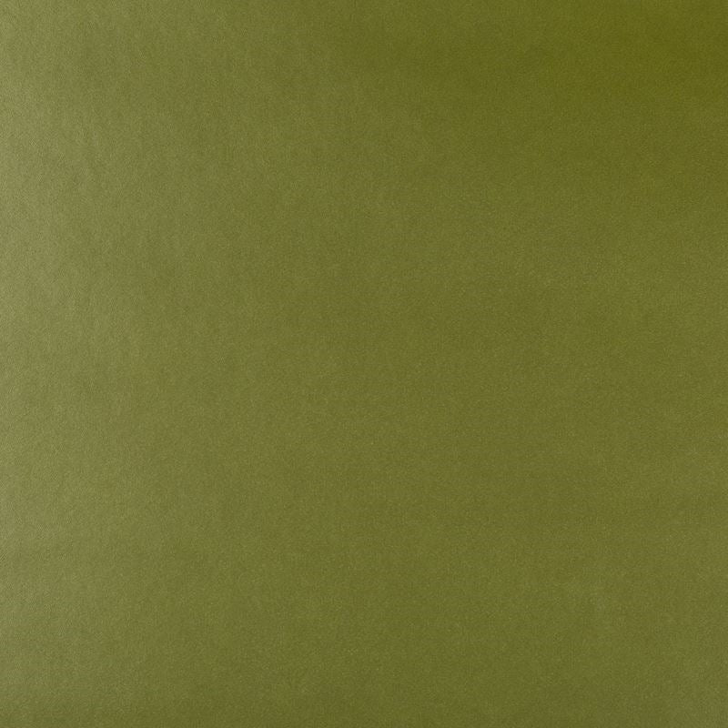 Find FRANKEL.3.0  Solids/Plain Cloth Green by Kravet Design Fabric