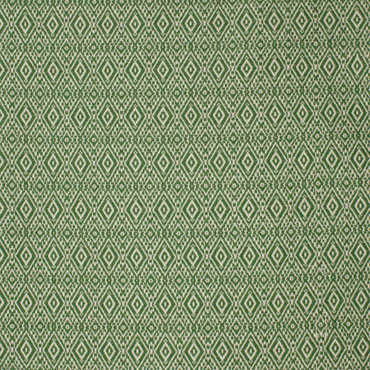 Find S4222 Leaf Green Diamond Greenhouse Fabric