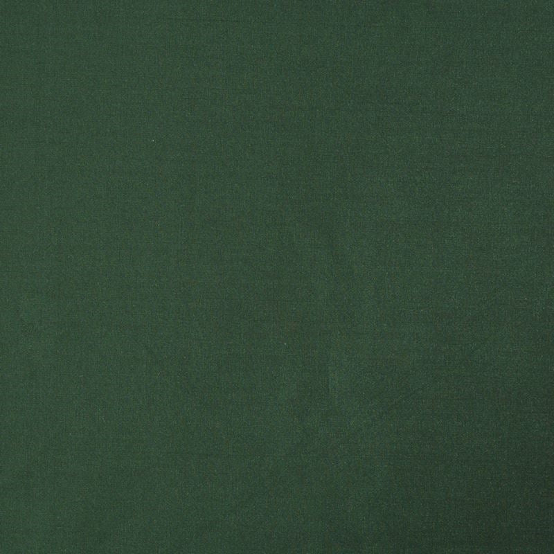 Sample Vinetta Billiard Green Robert Allen Fabric.