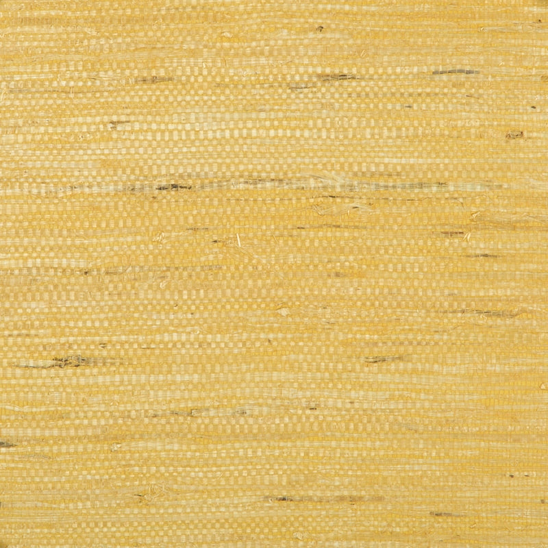 Save P8015146.4 Kochi Gold by Brunschwig Fils