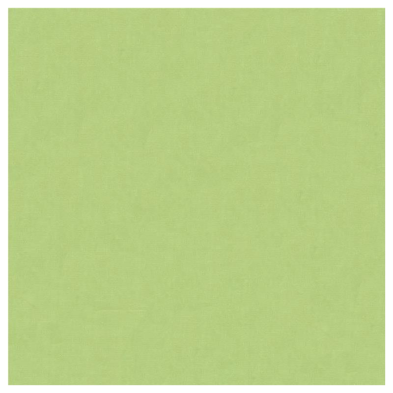 Find 4070.330.0  Solids/Plain Cloth Light Green by Kravet Design Fabric