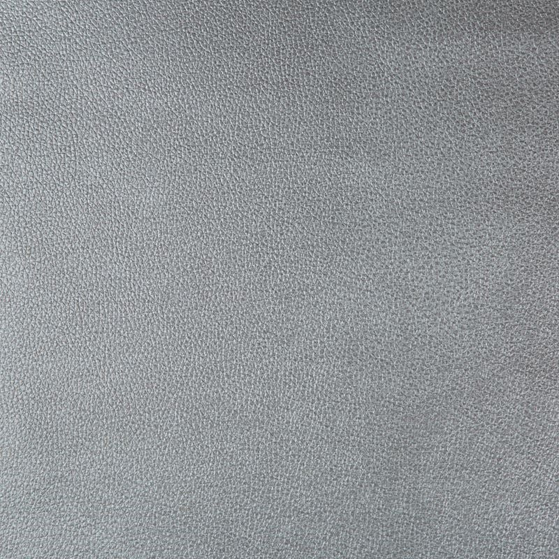 Purchase AZERI.21.0  Skins Grey by Kravet Design Fabric