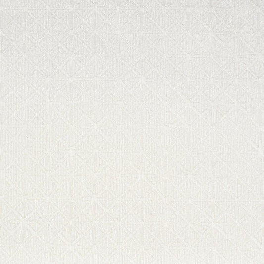 Find S1839 Winter White White Geometric Greenhouse Fabric