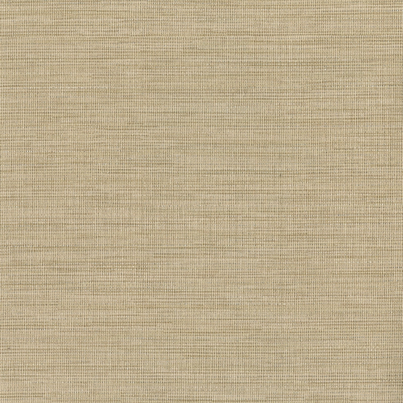 Sample 2807-6066 Warner Grasscloth Resource, Cape Town Beige Faux Silk Wallpaper by Warner