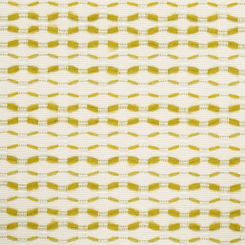 Purchase sample of 78543 Branford Indoor/Outdoor, Lime by Schumacher Fabric