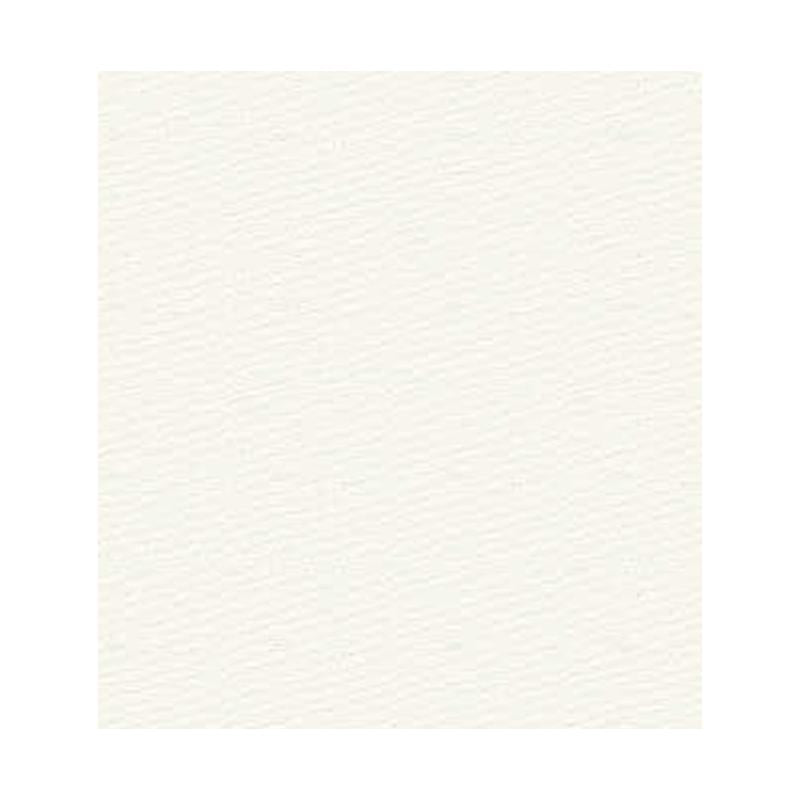 Find 16235.1.0 Function Pearl Solids/Plain Cloth White by Kravet Design Fabric