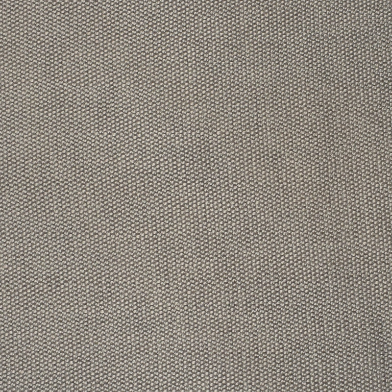 Search S2548 Cement Gray Texture Greenhouse Fabric