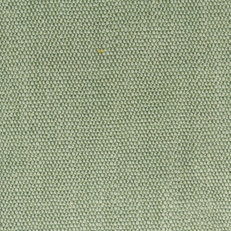 Sample Dimi-1 Dimitri 1 Seedling By Stout Fabric
