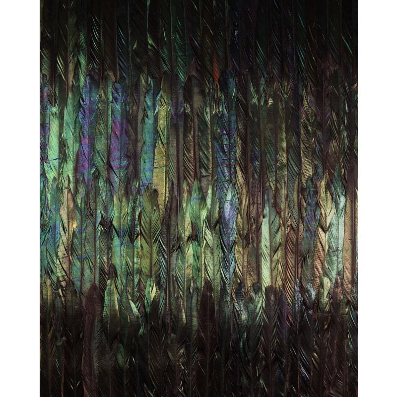 X4-1081 Colours  Dark Wings Wall Mural by Brewster,X4-1081 Colours  Dark Wings Wall Mural by Brewster2