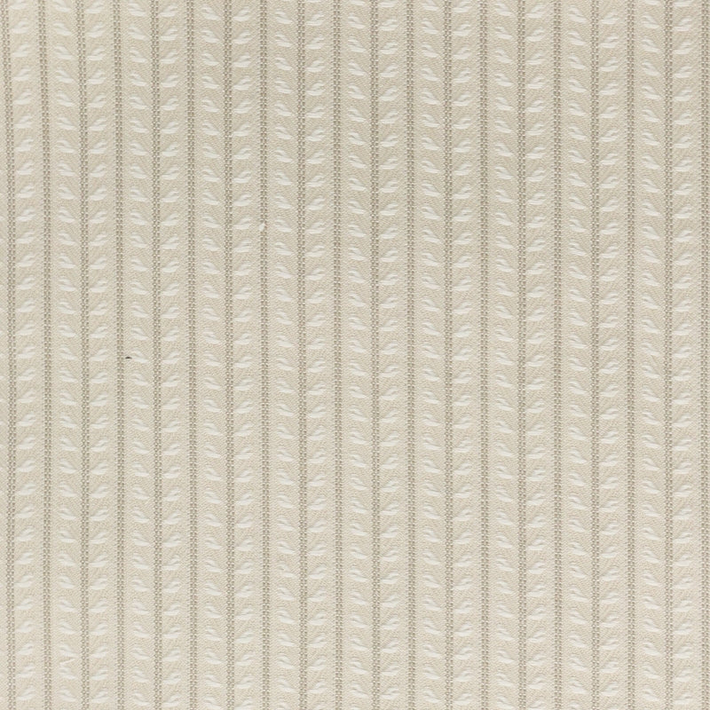 Buy Fion-3 Fiona 3 Birch by Stout Fabric