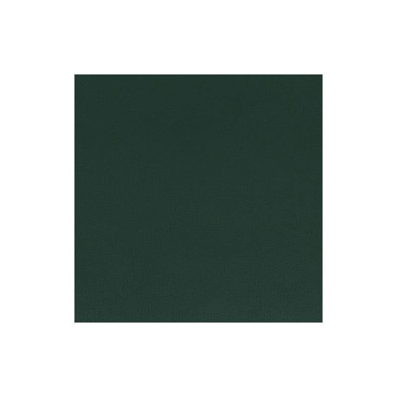 Sample 216773 Splash | Evergreen By Robert Allen Contract Fabric