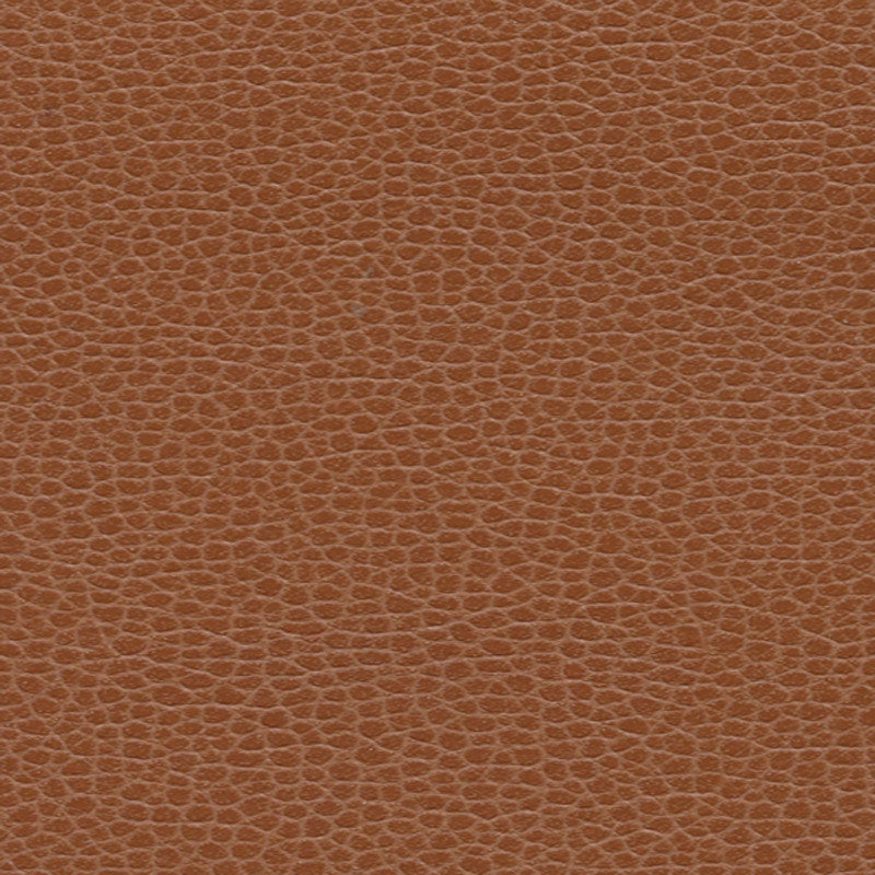 Purchase sample of 363-3144 Promessa, Leather by Schumacher Fabric