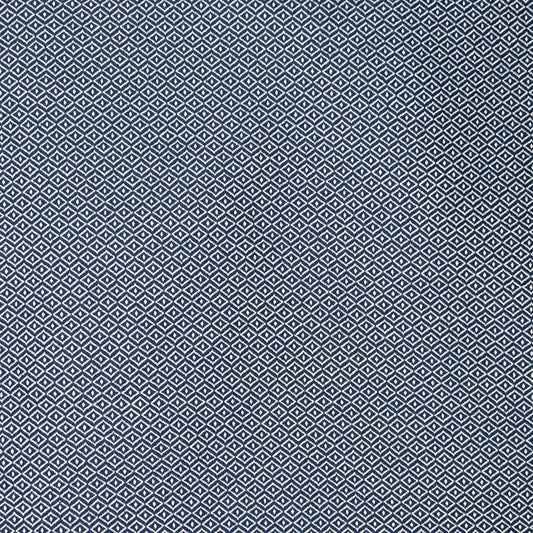 Buy S2199 Navy Blue Diamond Greenhouse Fabric