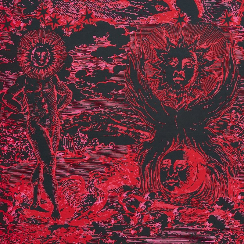 Purchase sample of 178623 Modern Toile, Pink & Black by Schumacher Fabric