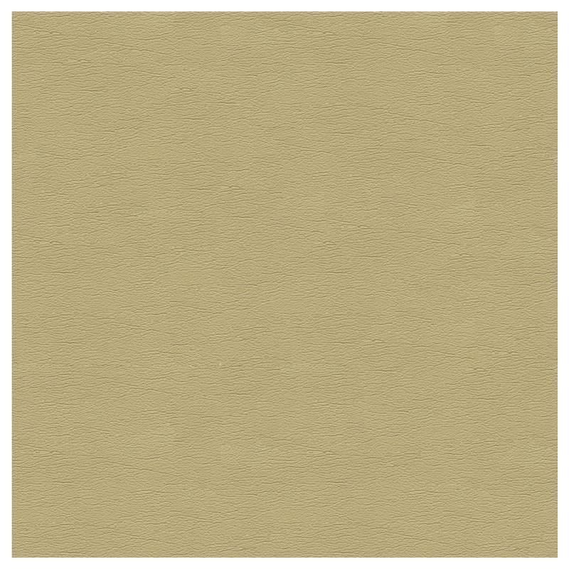 Find CARA.16.0  Solids/Plain Cloth Beige by Kravet Design Fabric