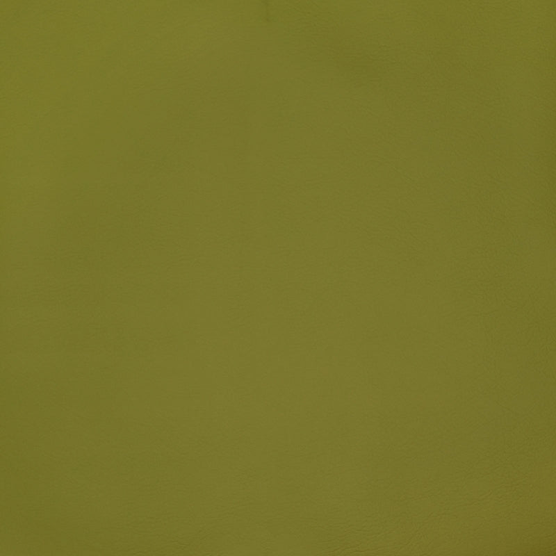 Save F2898 Spring  Upholstery Greenhouse Fabric